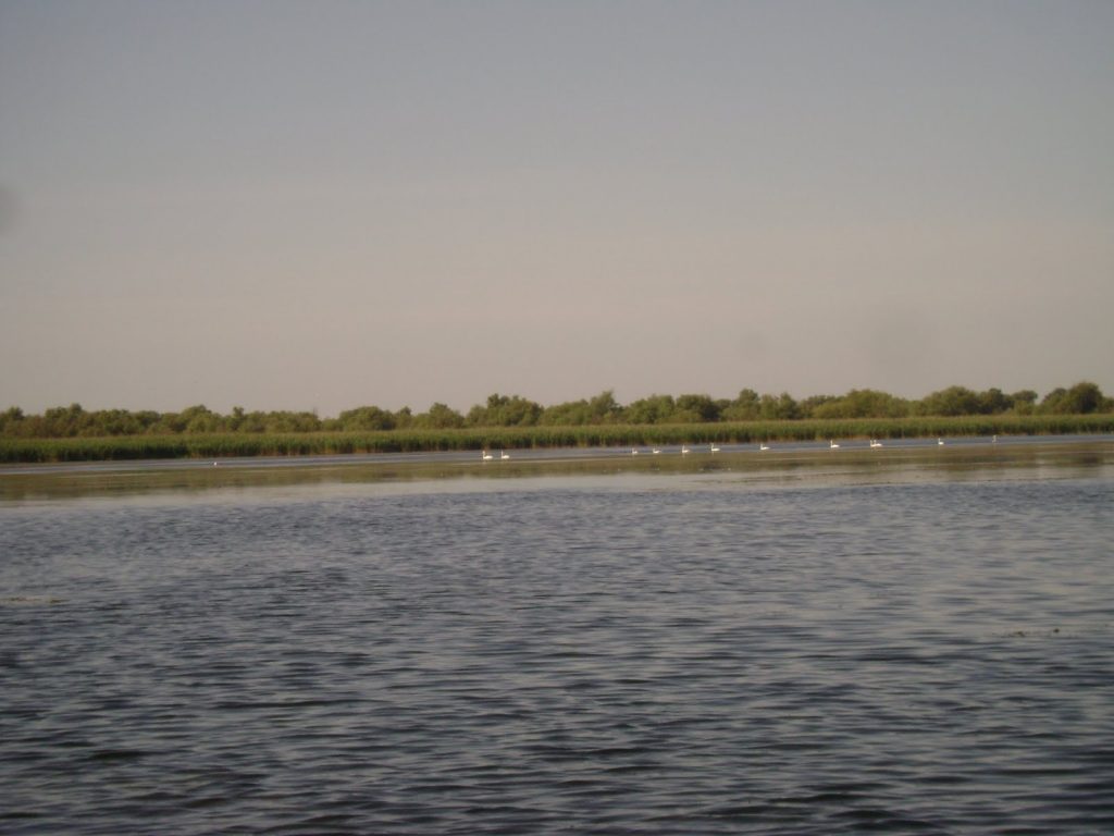 Lacul Vacaru