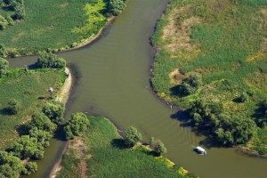 Imprejurimi Vulturul Pescar Delta Dunarii