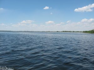 Imprejurimi Vulturul Pescar Delta Dunarii
