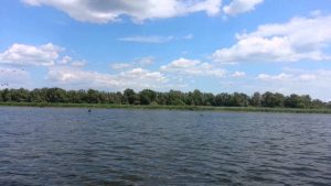 Imprejurimi Vulturul Pescar Delta Dunarii
