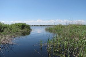 lacul gorgova