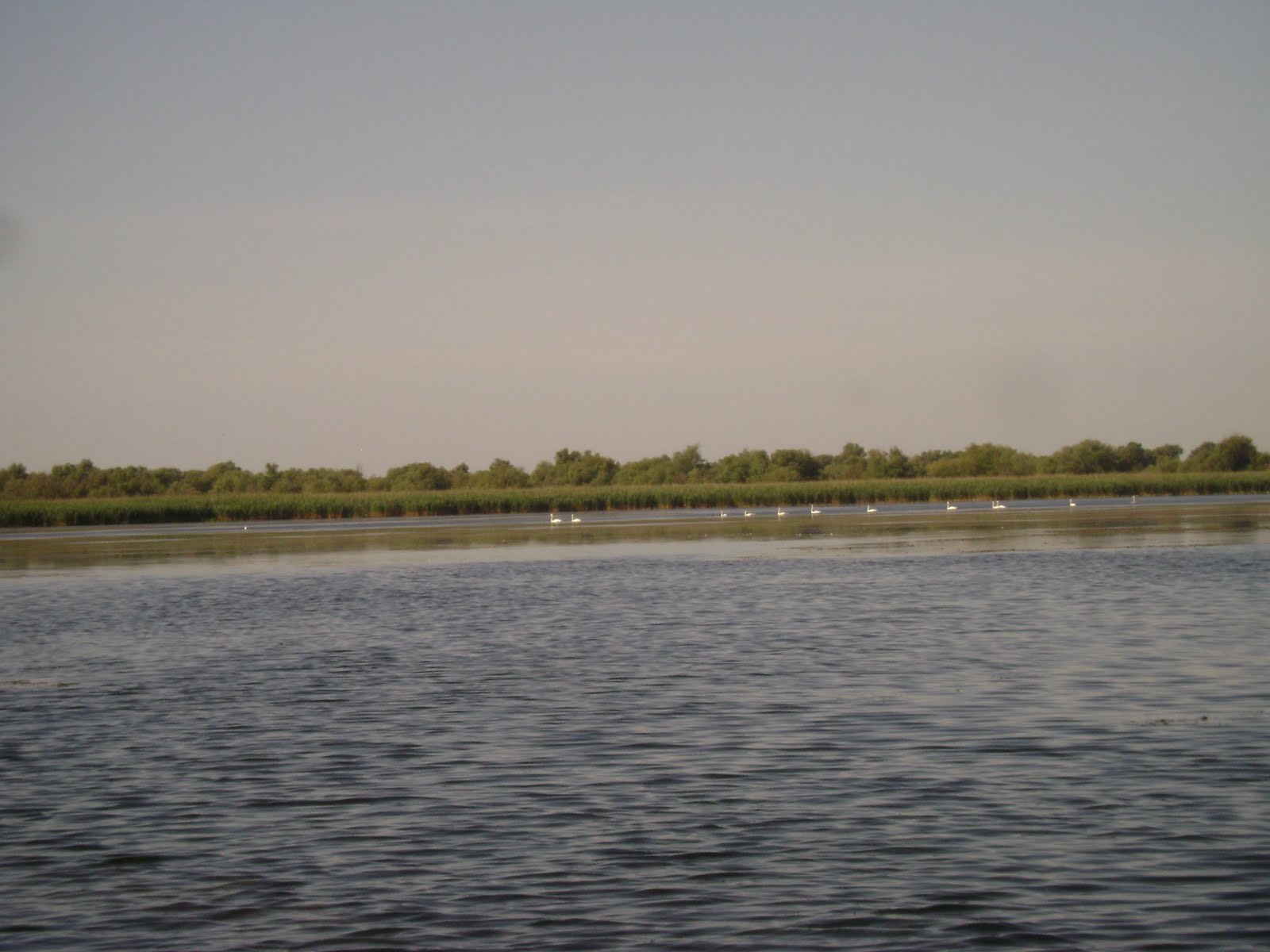 Lacul Vacaru